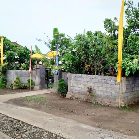 Angga Guest House Pemuteran Buitenkant foto