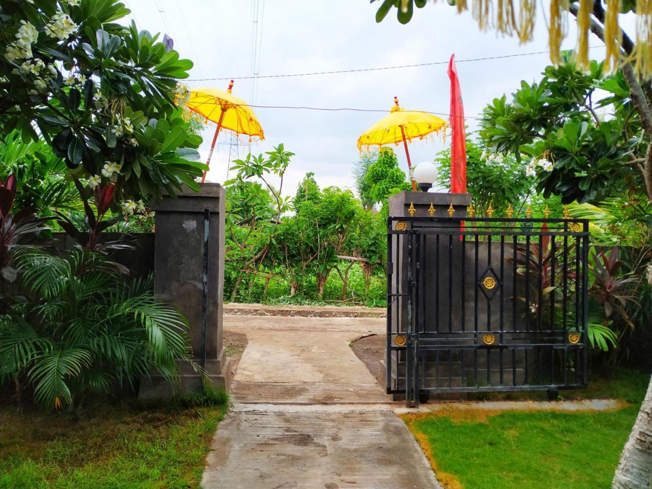 Angga Guest House Pemuteran Buitenkant foto