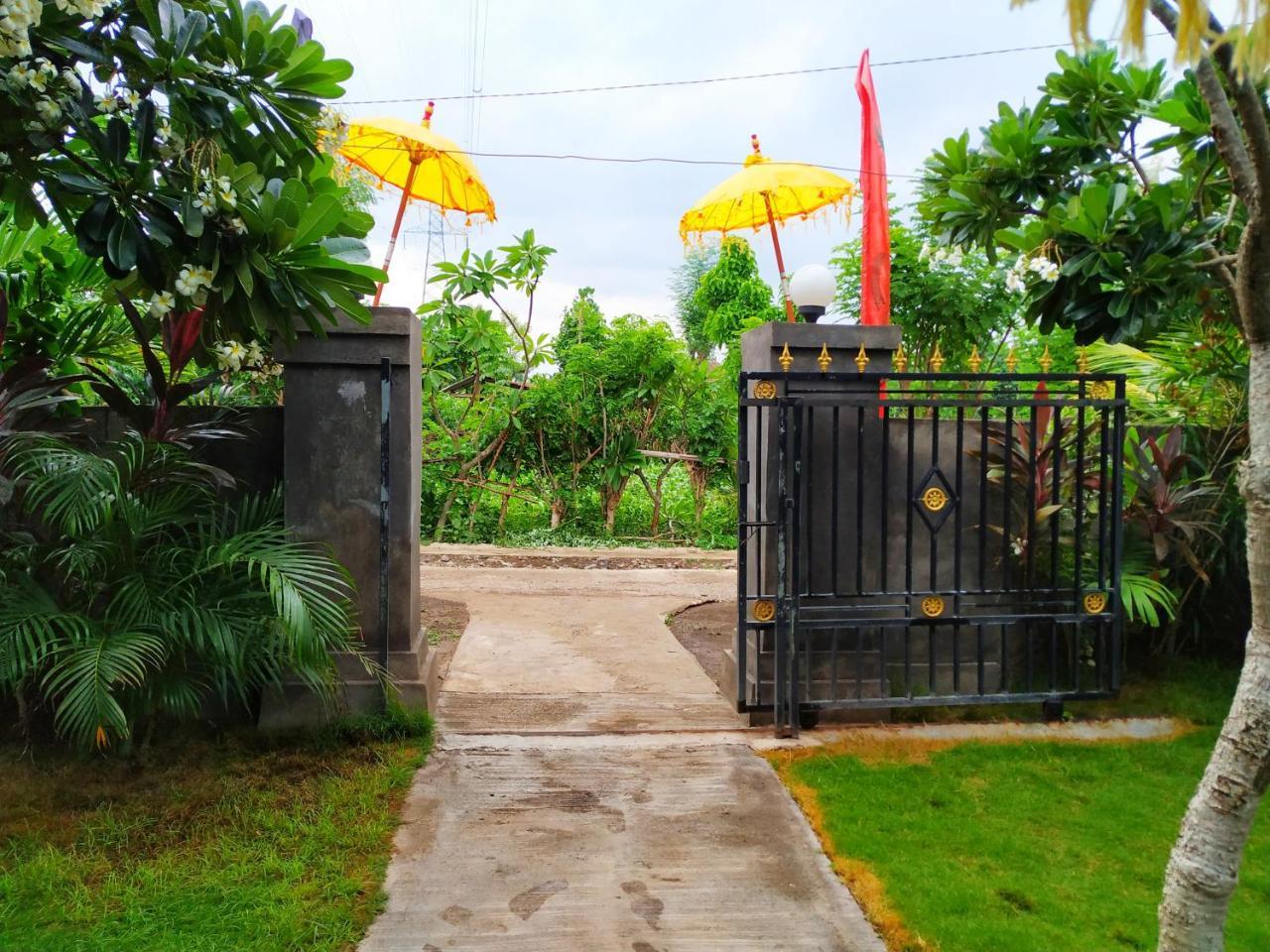 Angga Guest House Pemuteran Buitenkant foto